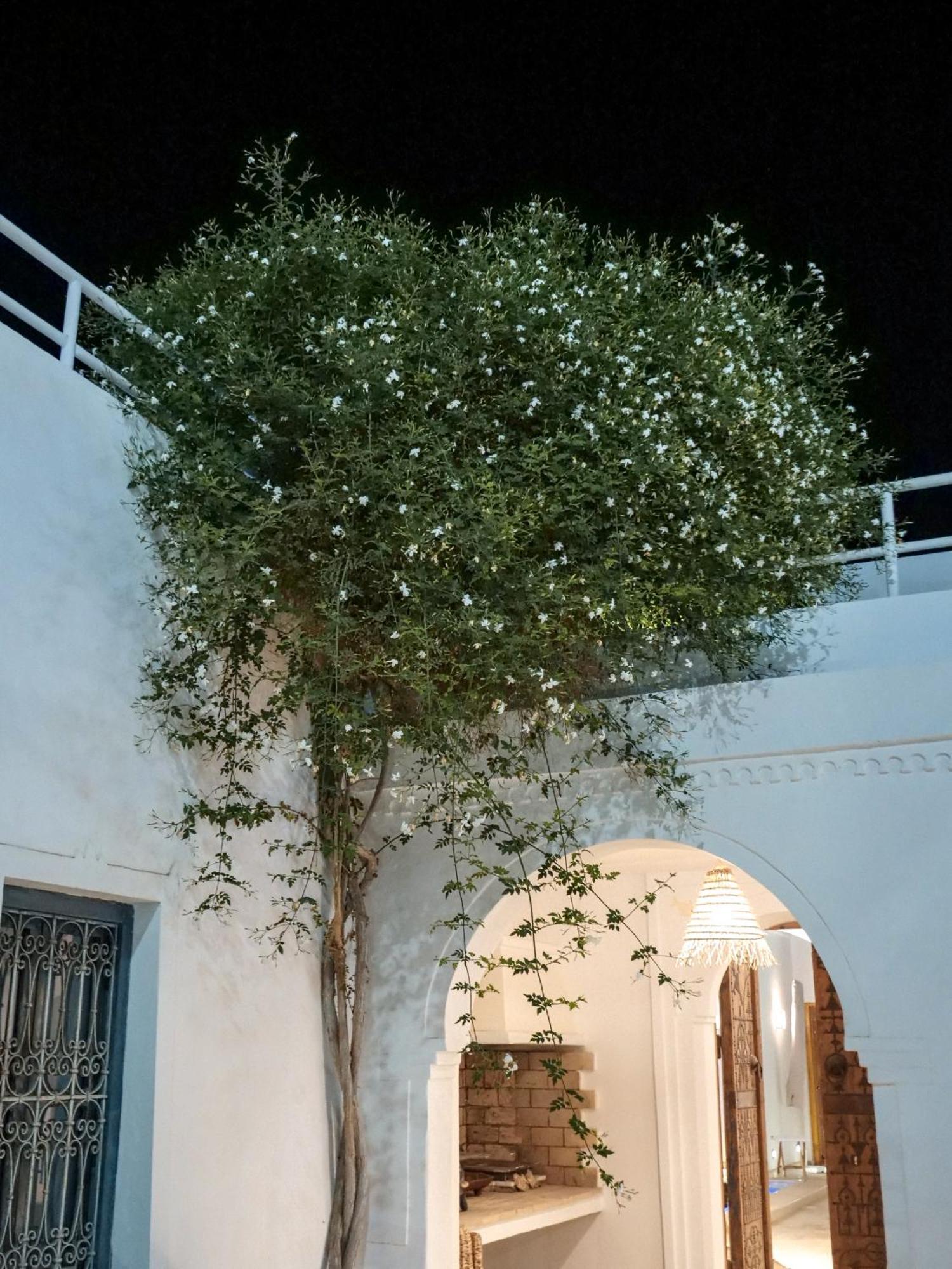 Dar Ennour Djerbahood Erriadh Bed & Breakfast Houmt Souk (Djerba)
